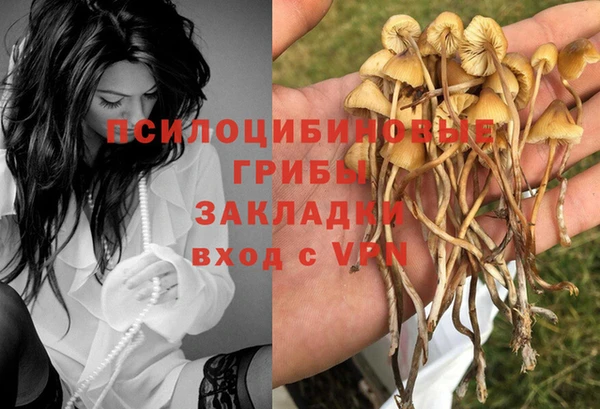 экстази Дмитров